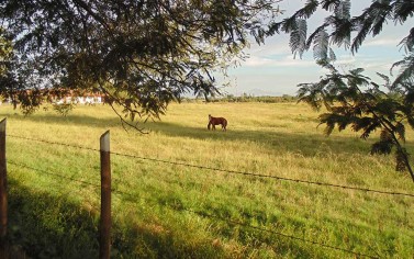 Fundo Santa Carolina