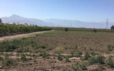 Terreno Buin-Villaseca